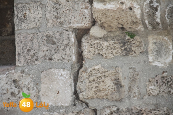 abonabootsbeel502 (4).JPG